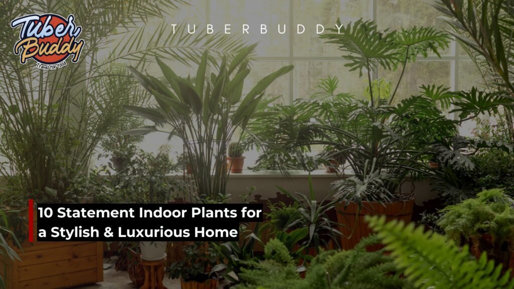 Indoor Plants