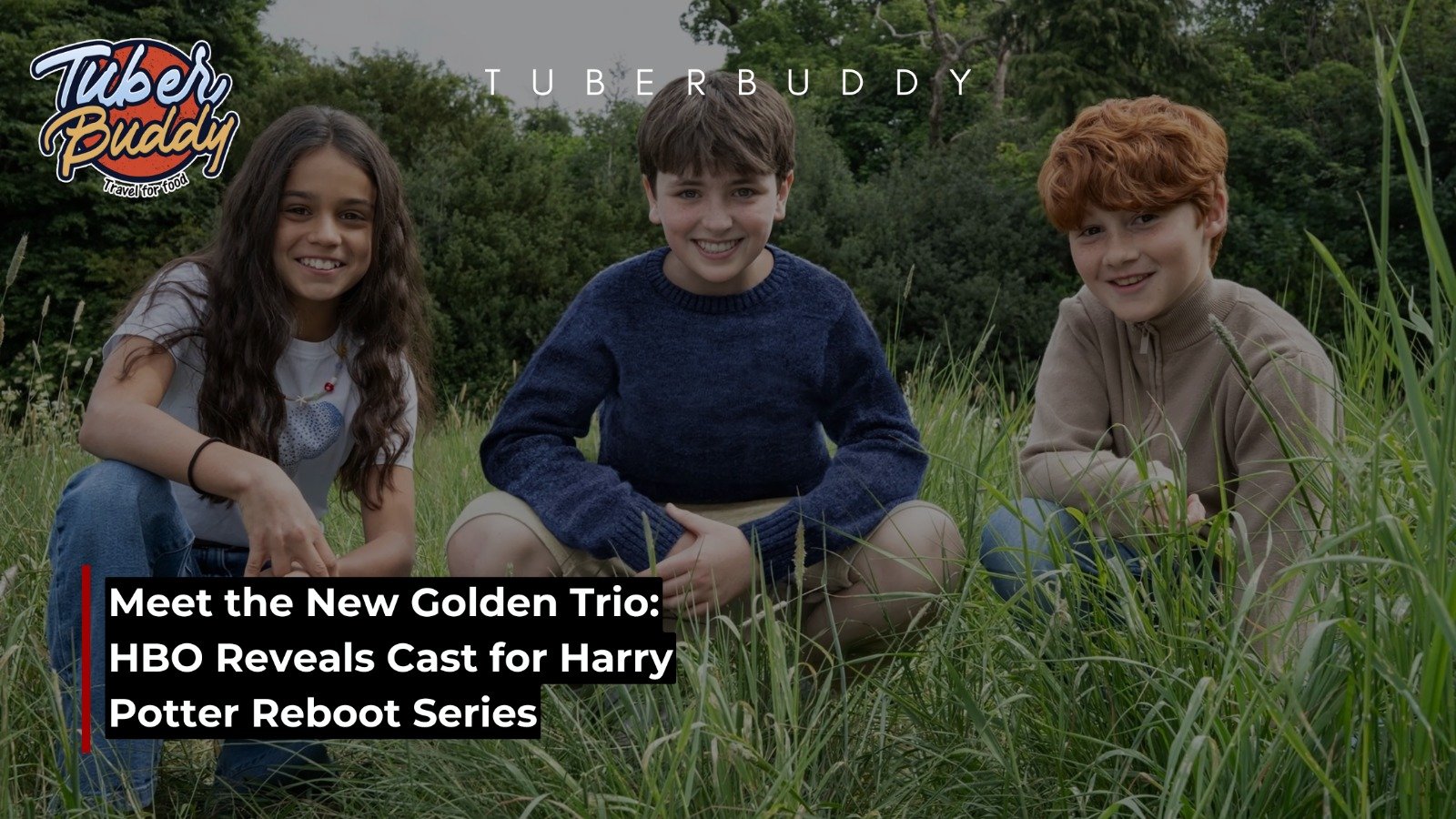 Harry Potter Reboot Series