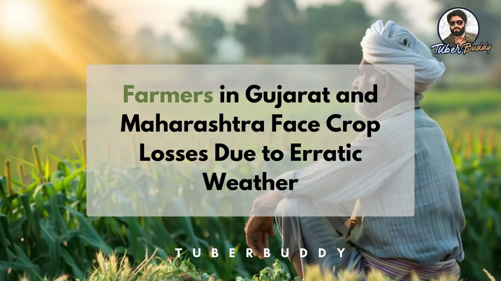 Farmers in Gujarat and Maharashtra Face Crop Losses Due to Erratic Weather