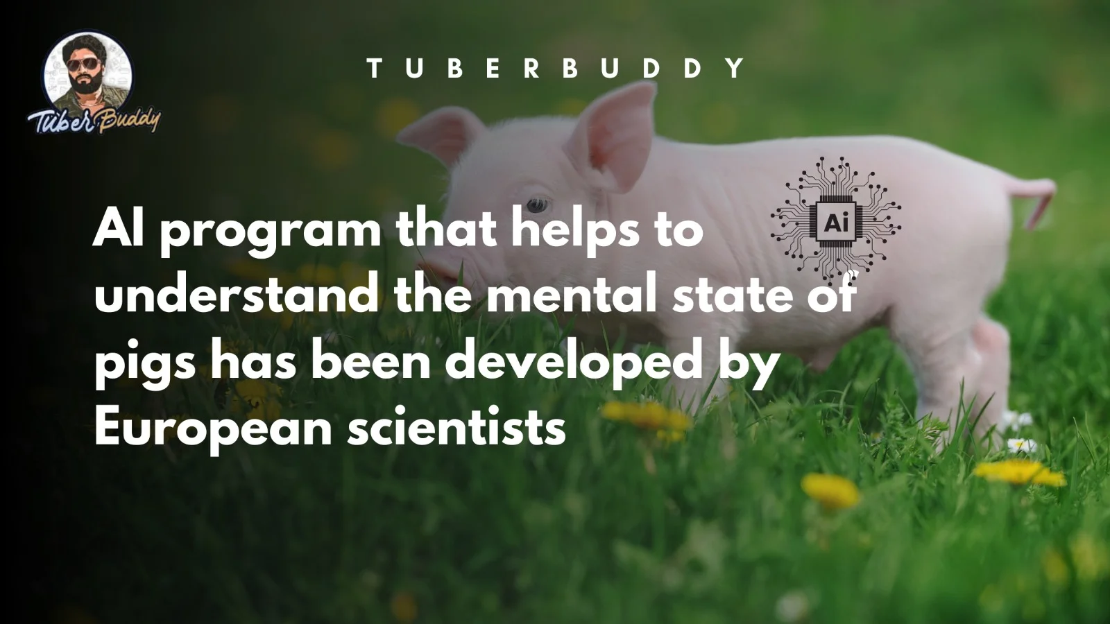 AI Technology for Understanding the Mental State of Pigs: European Scientists' Breakthrough