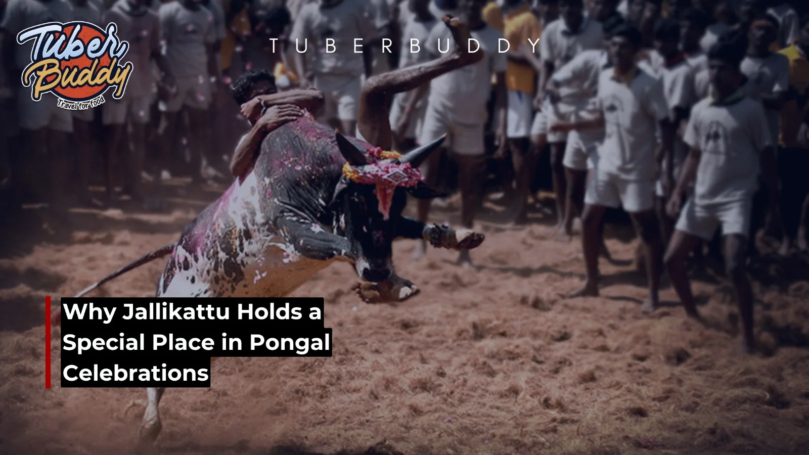 Jallikattu