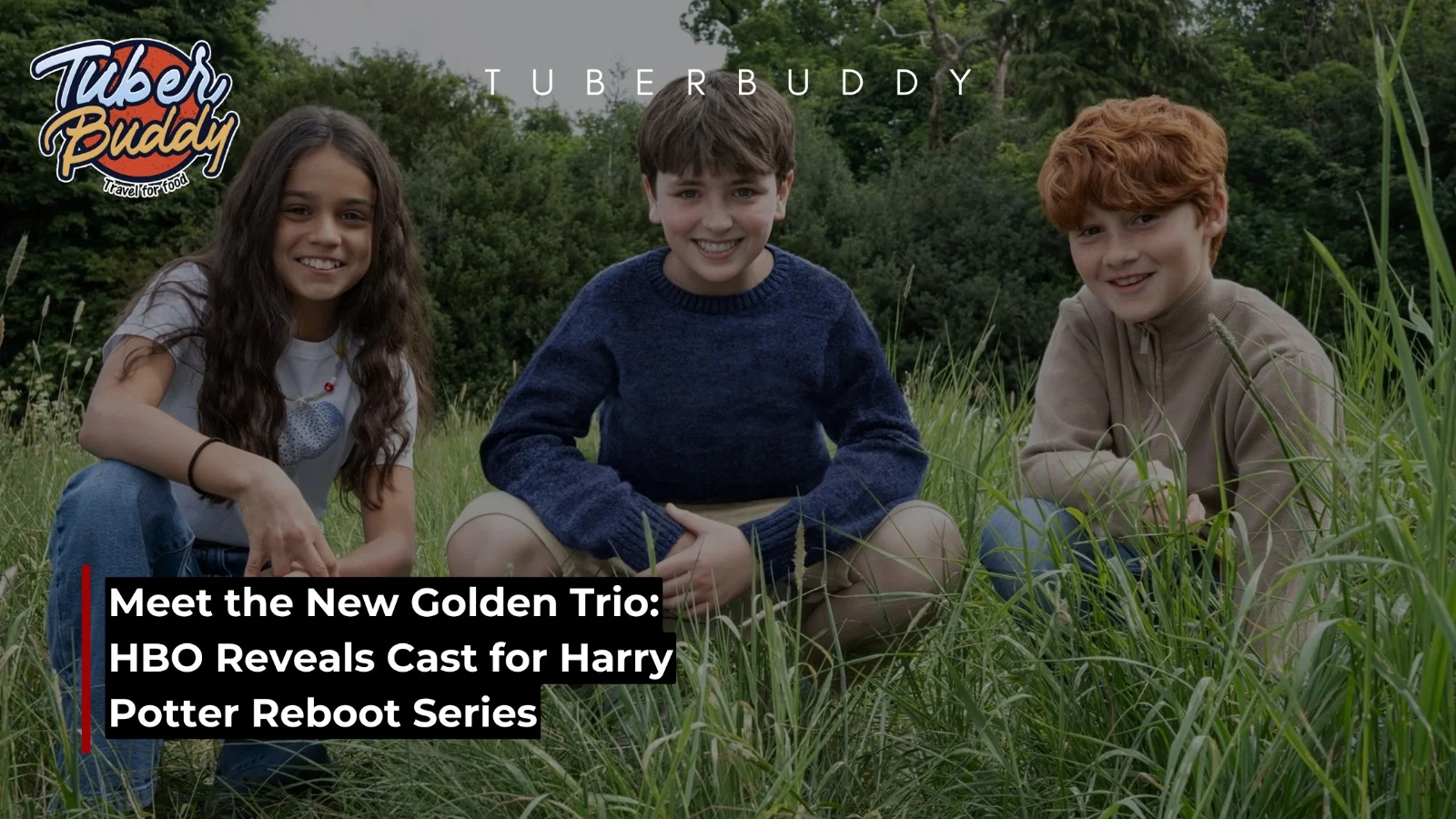 Harry Potter Reboot Series